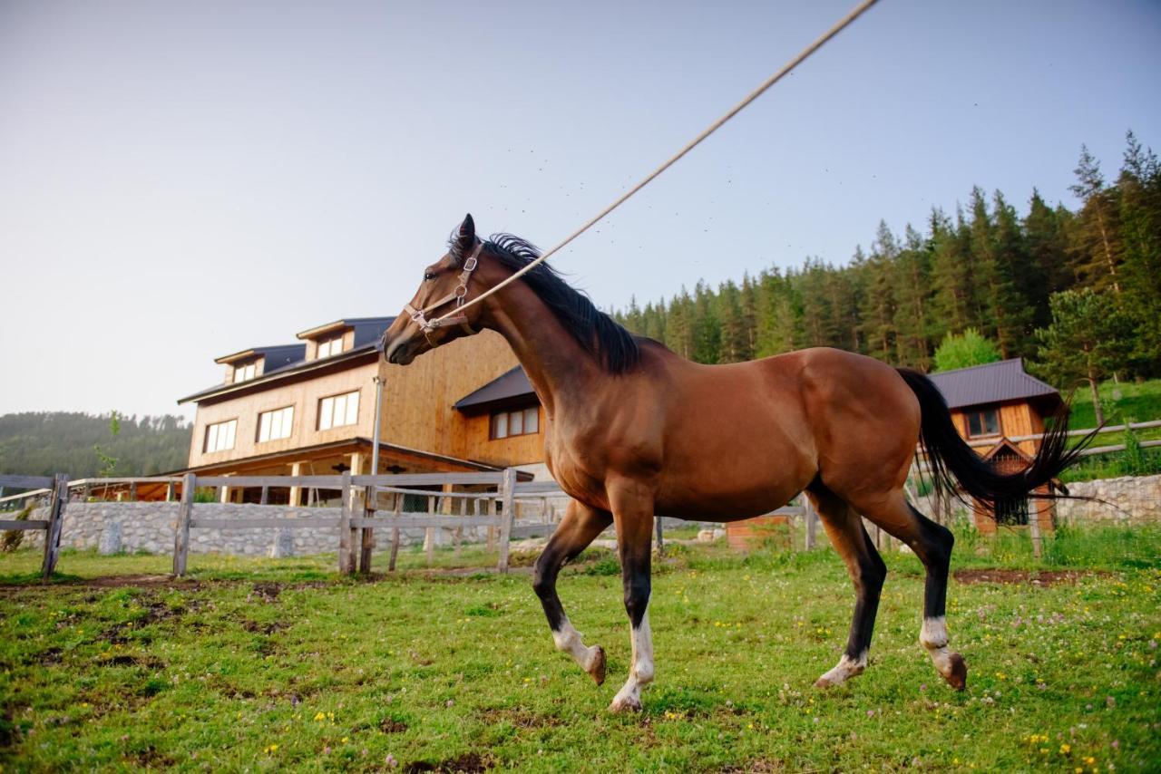 Hotel Etno Selo Zminica à Žabljak Extérieur photo